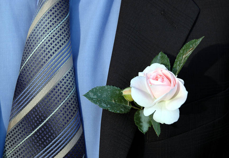 : WEDDING : design :: PARIS