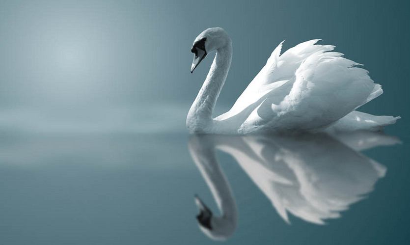  : NATURE : design :: PARIS